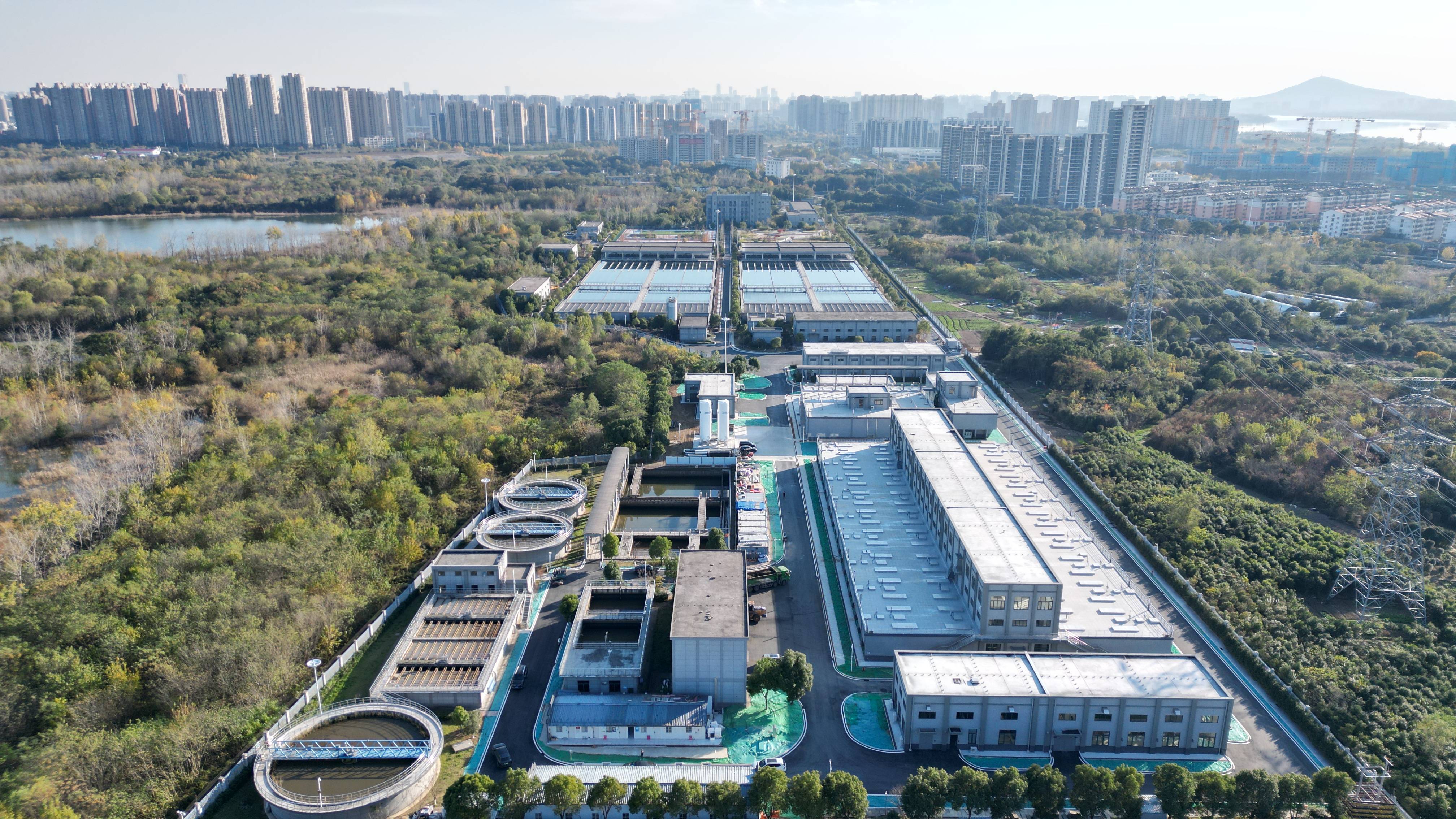 佛山市合肥专业企业价值增长(合肥市重点企业产业目录)